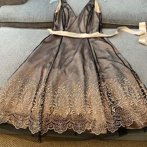 Adrianna Papell Beaded Dress (A line)